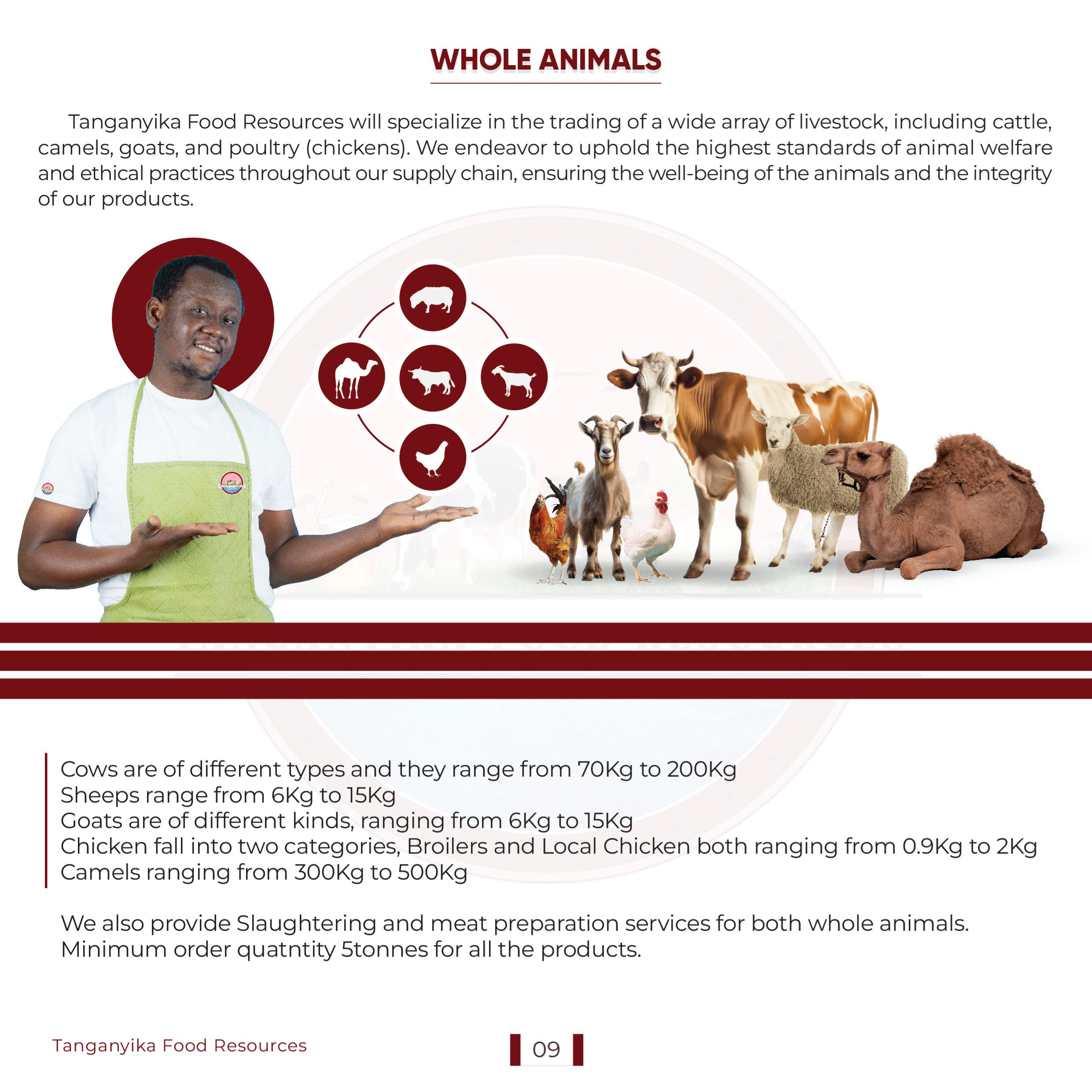 Whole Animals (Livestock)